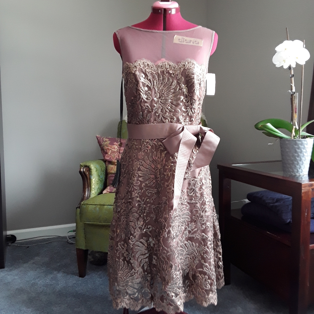 Nwt Tadashi Shoji Dress